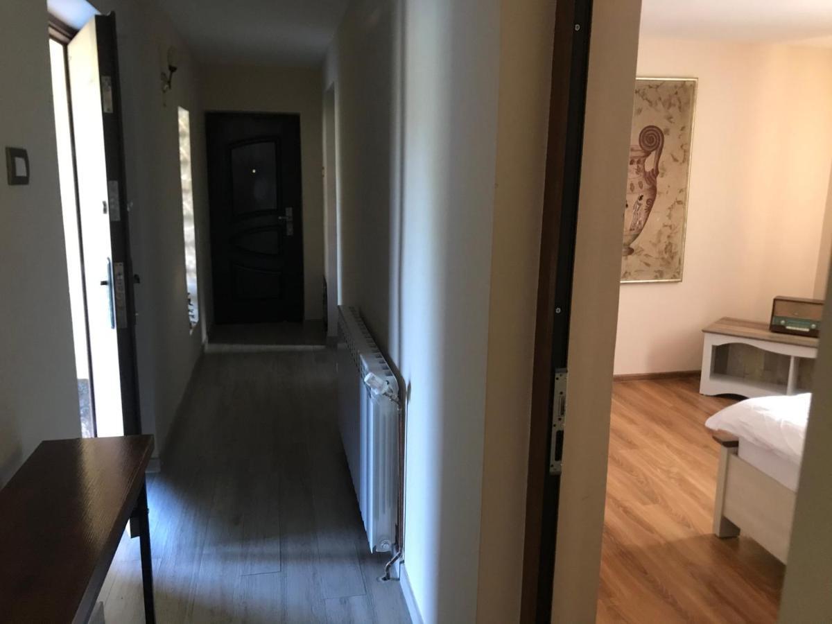 Apartament La Vila Curtea de Argeş Eksteriør billede