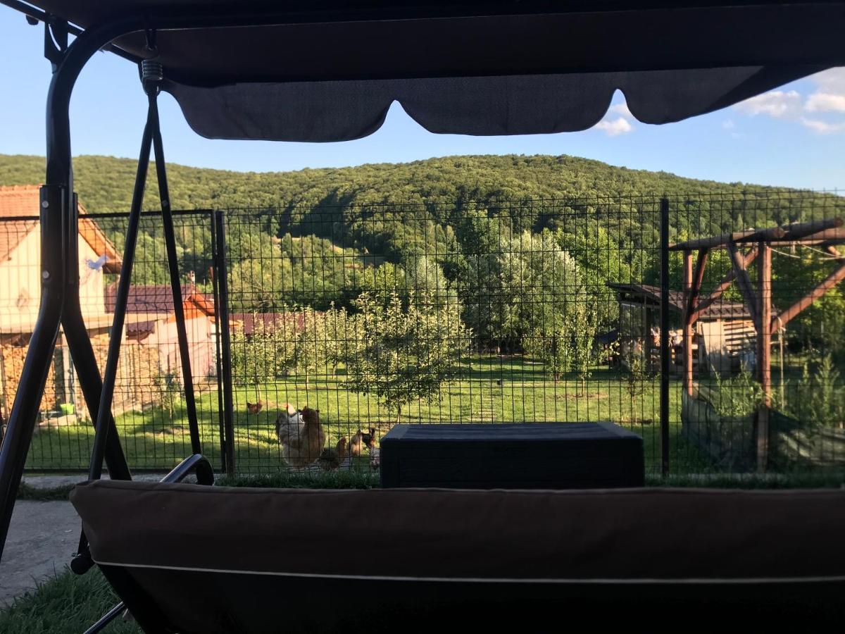 Apartament La Vila Curtea de Argeş Eksteriør billede